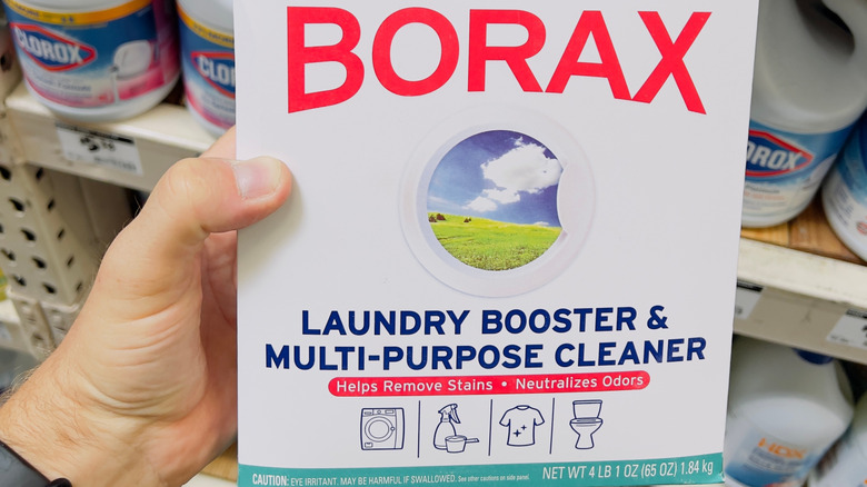 Hand holding box of borax