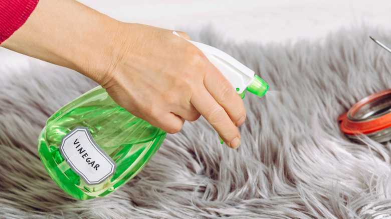 Hand pouring white vinegar into spoon
