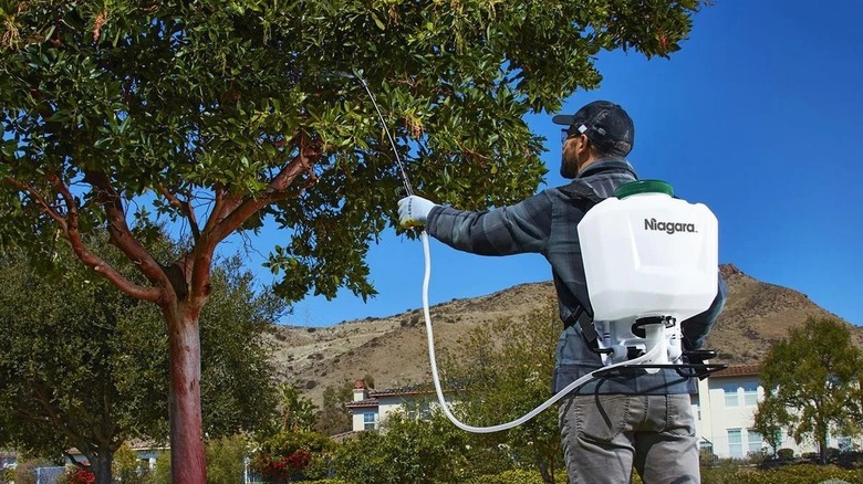 Man spraying a tree with a backpack sprayer