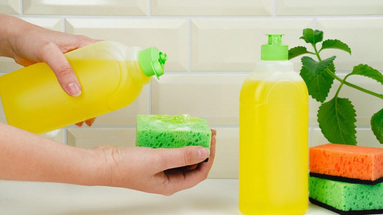 pouring dish soap on sponge
