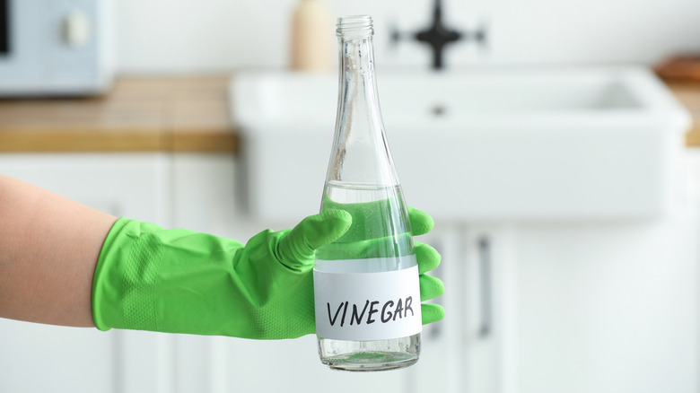 holding vinegar bottle in kitchen