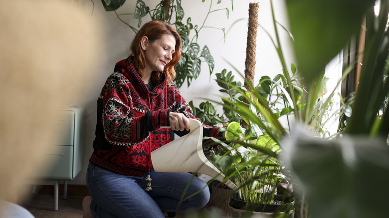 Woman tending to her houseplants