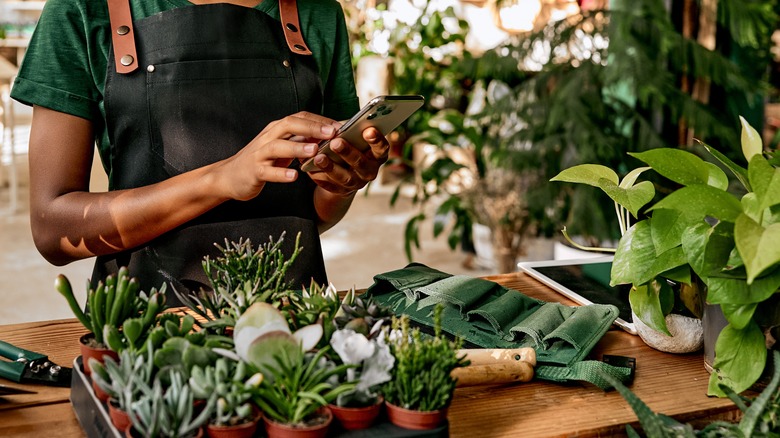 Woman in a plant store using her phone