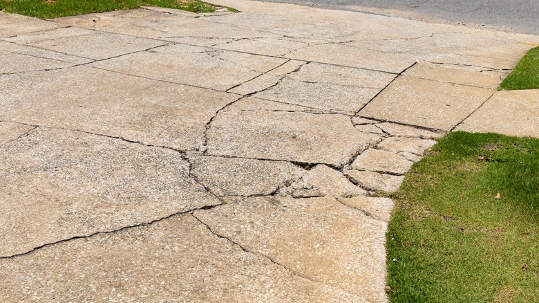 Cracking driveway edged by grass