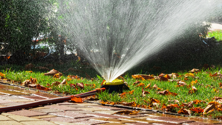 Sprinkler spraying near a walkway