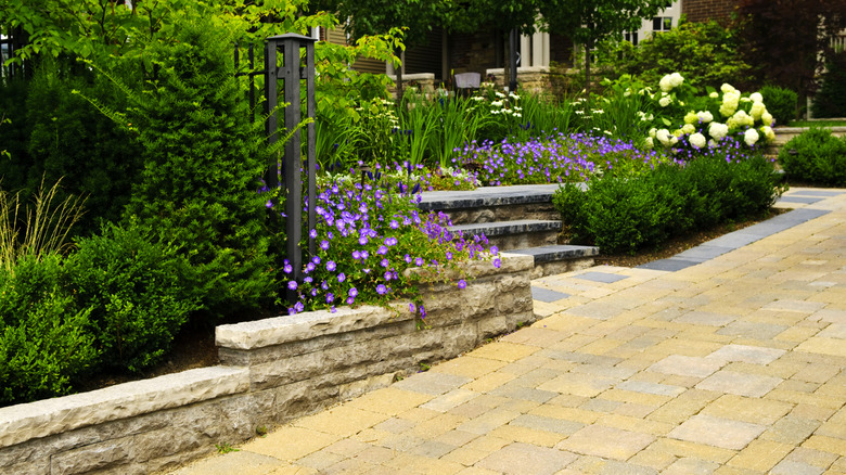 Beautiful landscaping at the front of a house including retaining walls