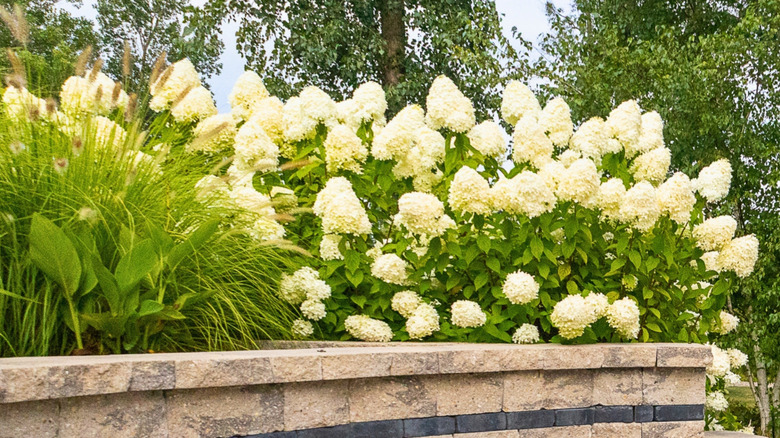 A beautiful custom stone patio with fire pit at the base of a retaining wall