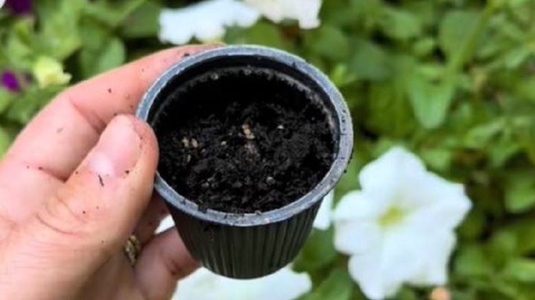 hand holding old coffee pod turned into seed starter