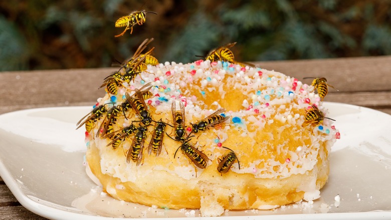 wasps on a donut