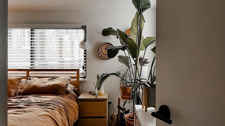 Bed in front of sliding windows surrounded by plants
