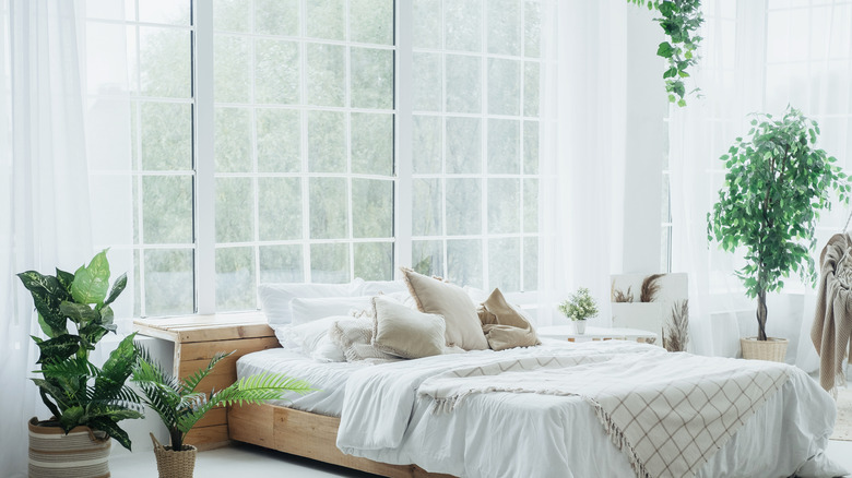 Platform bed in front of a window wall