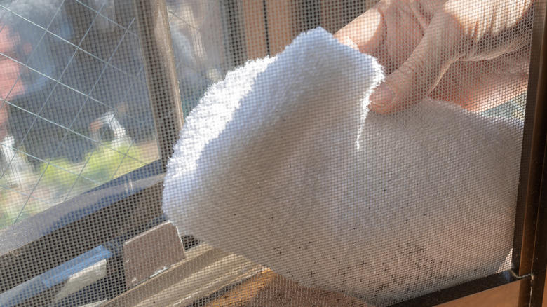 Wiping down window screen