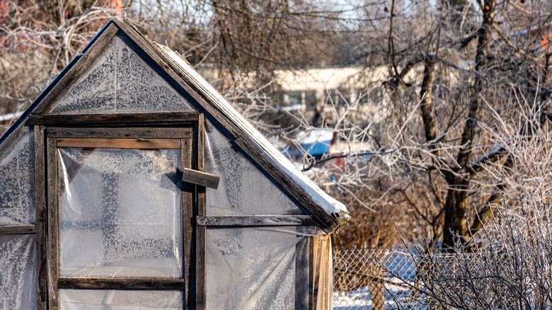 greenhouse in winter