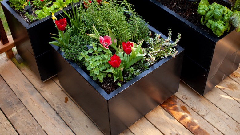 black metal planter box with flowers