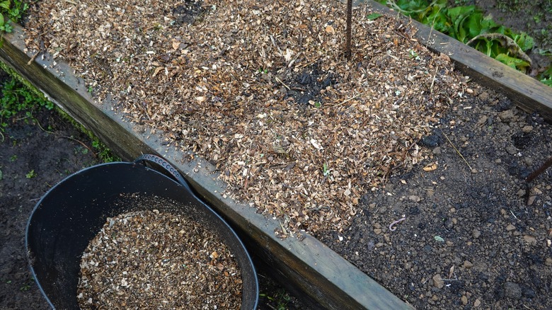 mulch in garden