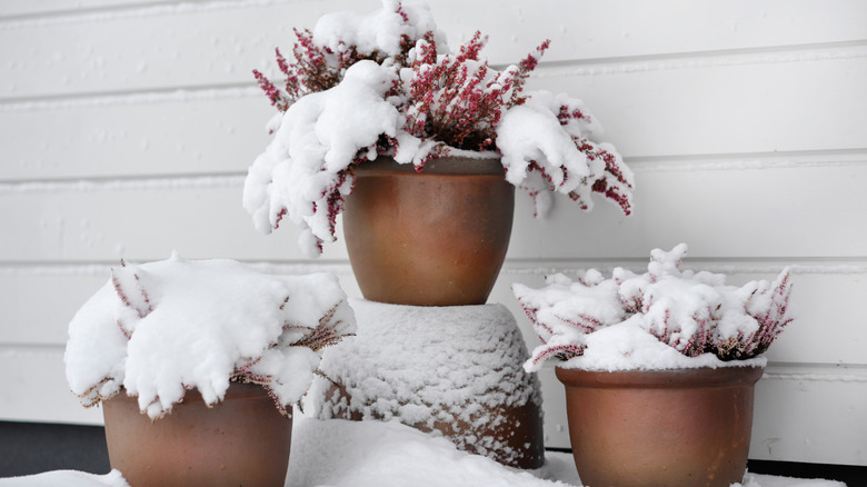 ceramic planters covered in snow