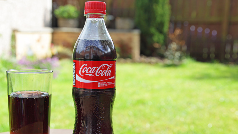 A bottle of Coca-Cola next to a glass of Coca-Cola with a green lawn and a fence in the background