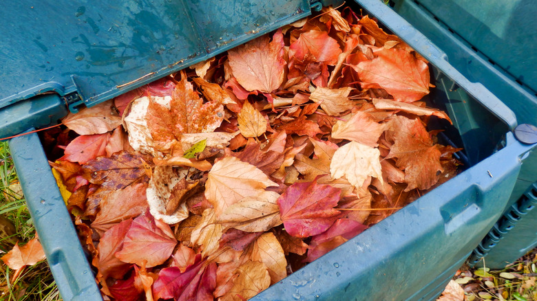 Fall leaves fill a compost bin.