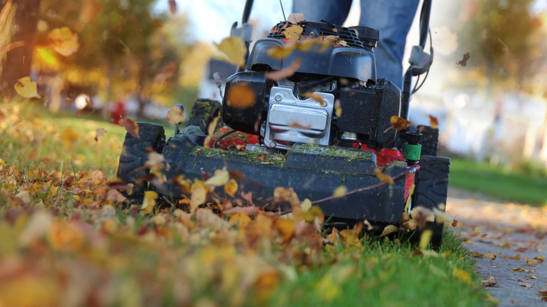 A lawn mower goes over grass covered in fallen leaves.