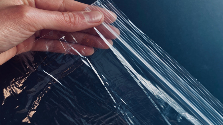 Hand holding a Ziploc bag on a black background