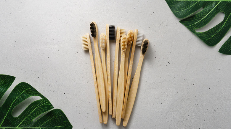 Some bamboo toothbrushes with plants nearby