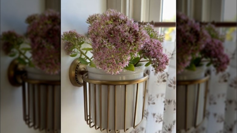 A potted flower sitting in wall-mounted wire basket
