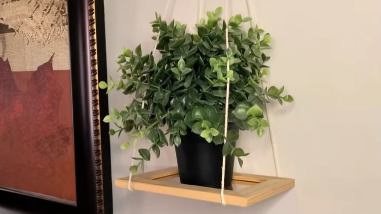 hanging rope shelf frame for plant