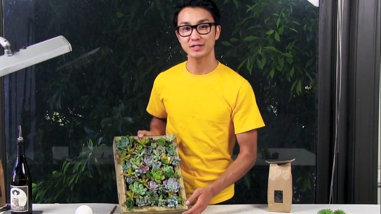 A man presents a picture frame of living plants to the camera.