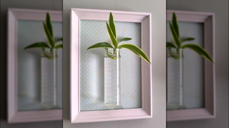 A pink picture frame surrounds a plant propagating in a small glass jar of water.