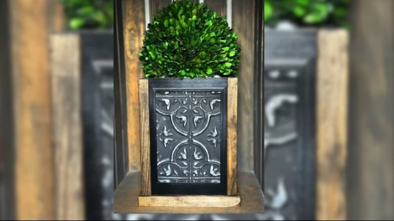 A planter box made from picture frames