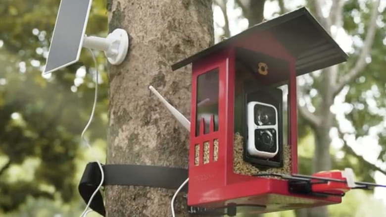 A red metal bird feeder with a camera mounted to a tree