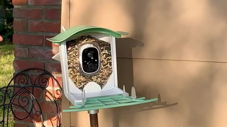 A green bird feeder with camera mounted beside a wall and filled wiht birdseed