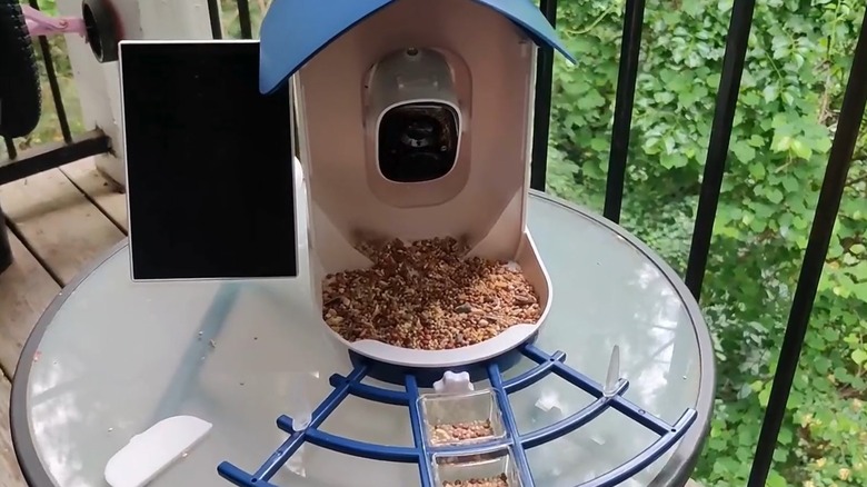 A blue and white solar-powered bird feeder with birdseeds inside it placed on an outdoor table