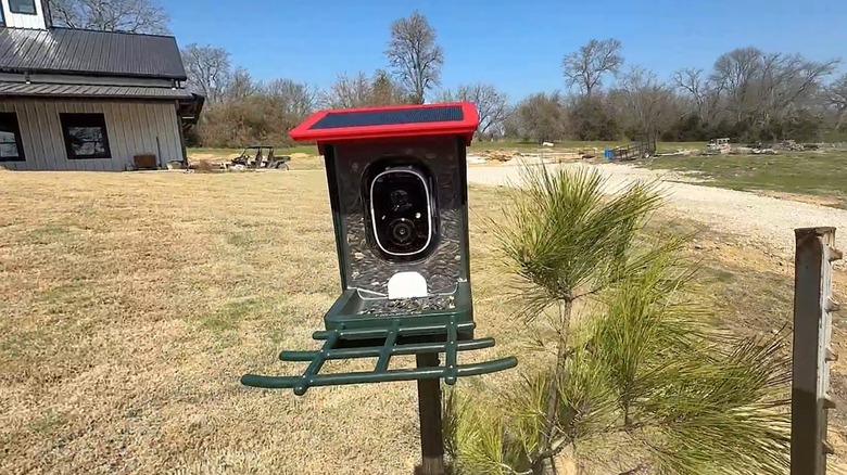 Red bird feeder with a camera mounted on a pole outside a home