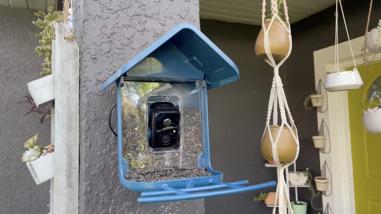 A blue bird feeder with camera mounted on a pillar