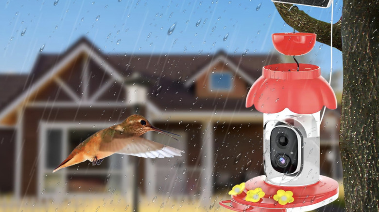 A hummingbird flying towards a feeder with a camera in the rain