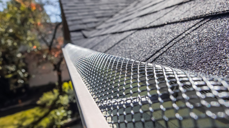 screen over a gutter