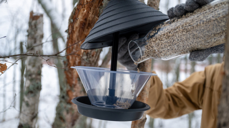 Person in brown coat refilling bird feeder with seed from a jar in the winter