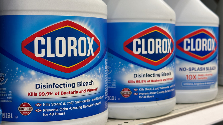 Close up of Clorox bleach bottles on store shelf