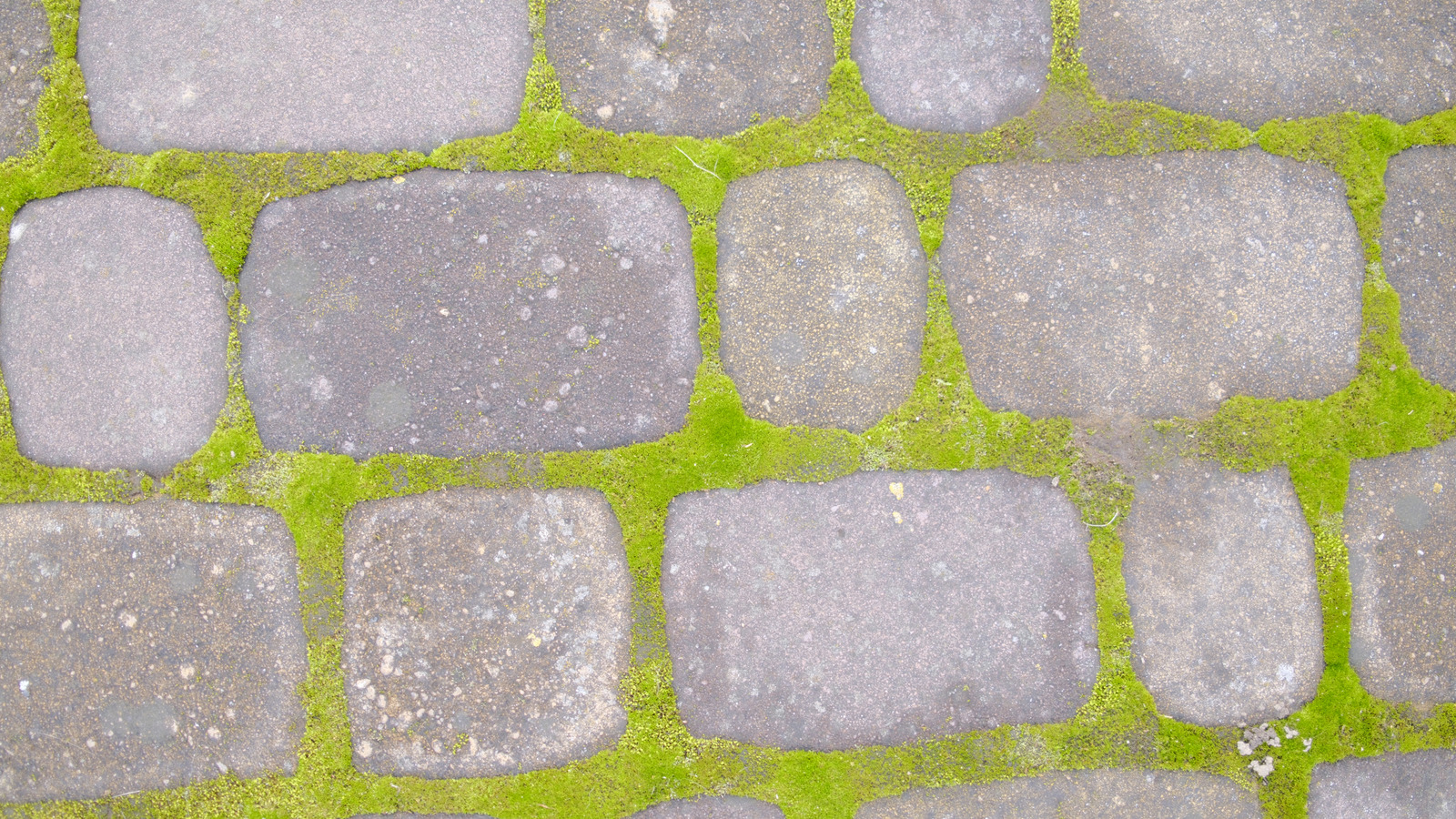 8 Brilliant Hacks To Help Tackle Mossy Driveway Pavers
