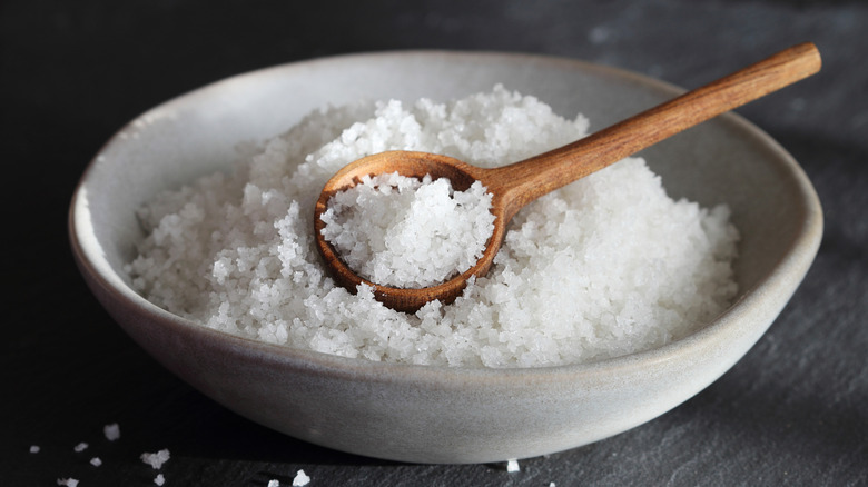 Close up of bowl of salt with wooden spoon
