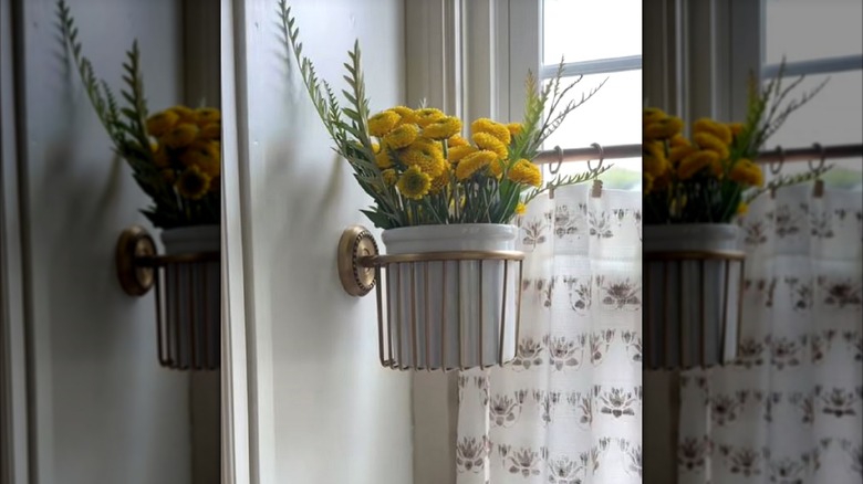 Pot of flowers in a single toilet paper roll holder by the window