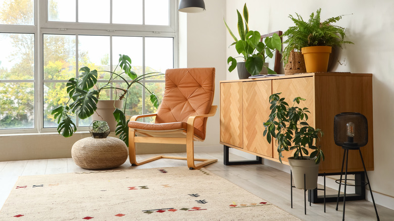 Living room with chair and plants