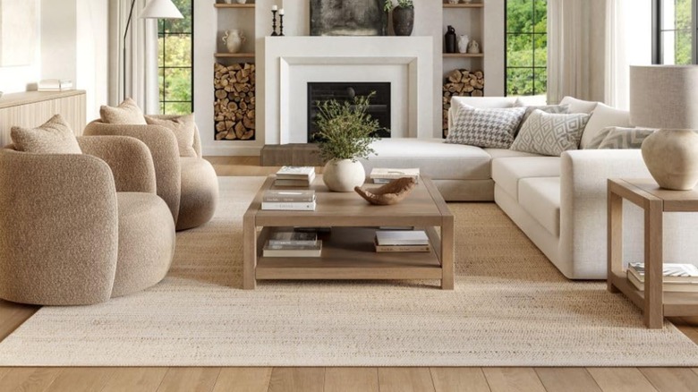 A living room with a jute and cotton area rug