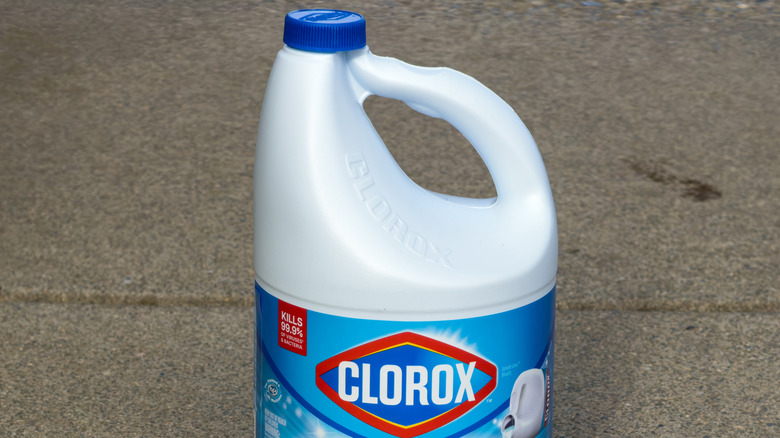 Close up of Clorox bleach bottle