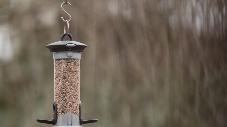 Close up of hanging bird feeder
