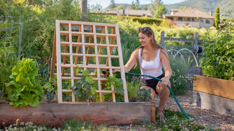 woman watering plants by trellis