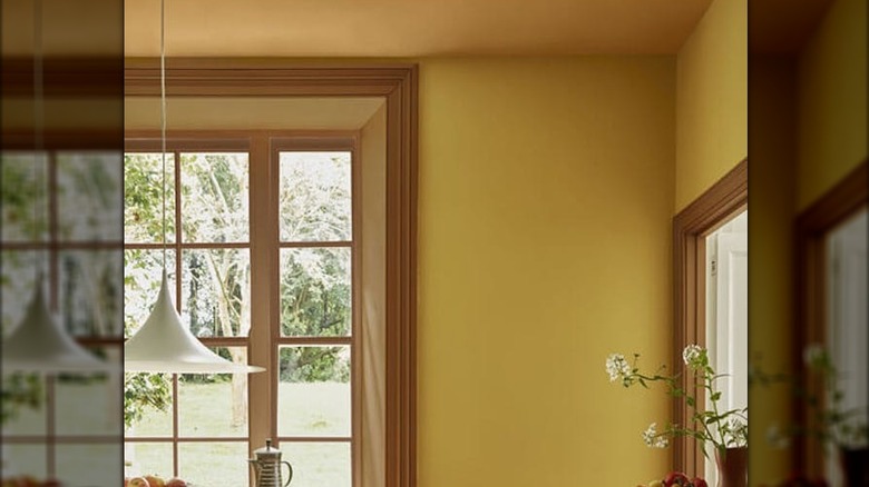 Kitchen with yellow color capping on the walls and ceiling
