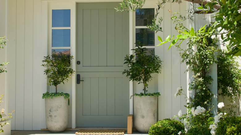 Sage green front door with two potted plants