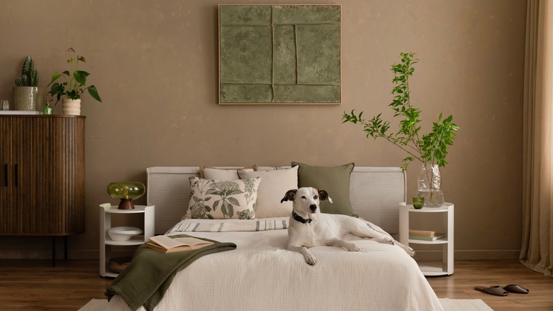 A terrier lying on a bed with beige earthy toned bedding, with a light brown wall behind and large green plant in a vase on a nightstand.